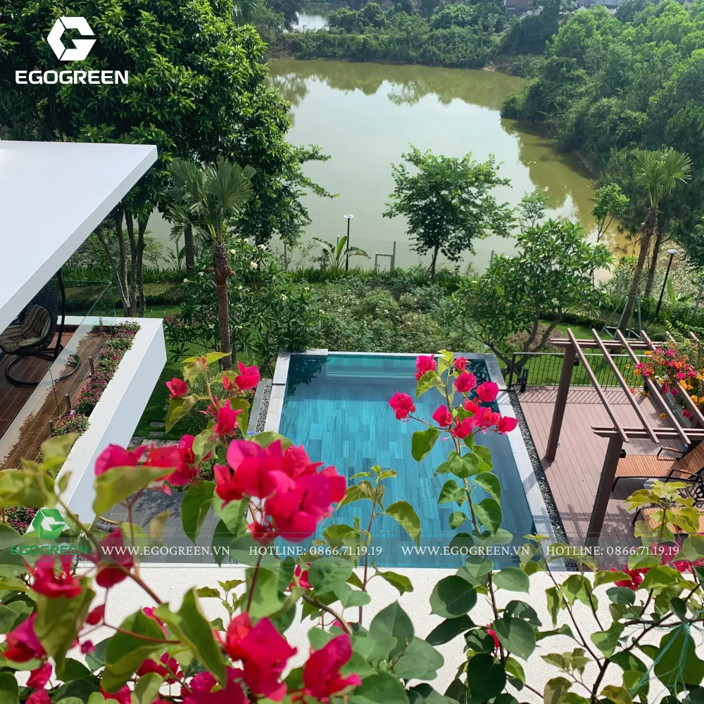 Sân vườn anh chị Tường Lê mang hơi hướng Tropical và hiện đại với nhiều hoa nở quanh năm.